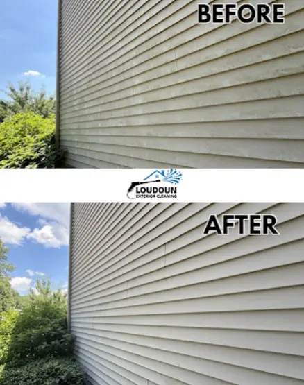 painted-house-exterior-cleaning-services-aldi-va-before-after