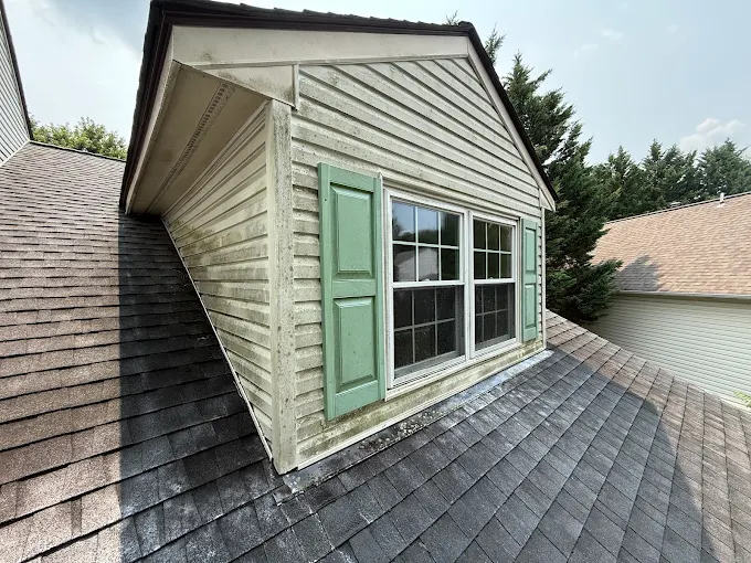 Exterior surface before cleaning by Loudoun Exterior Cleaning