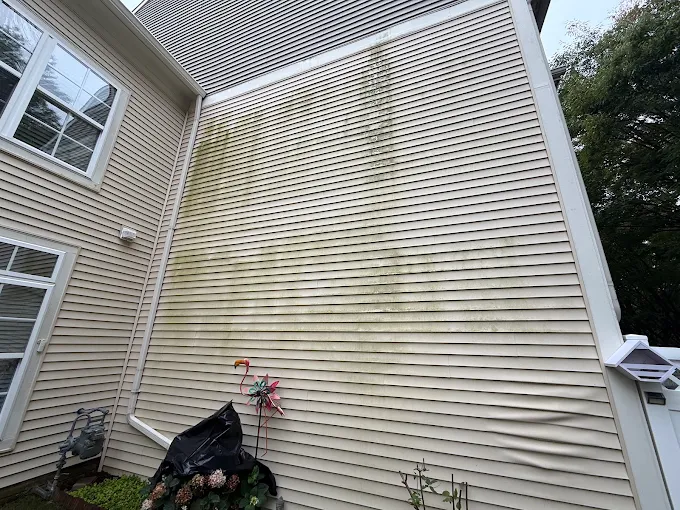 Vinyl siding with green algae before soft washing
